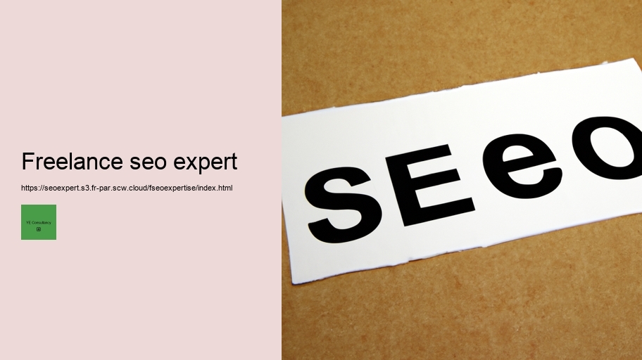 freelance seo expert