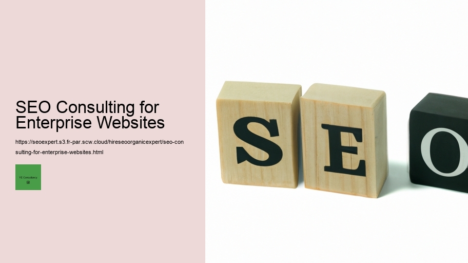 SEO Consulting for Enterprise Websites