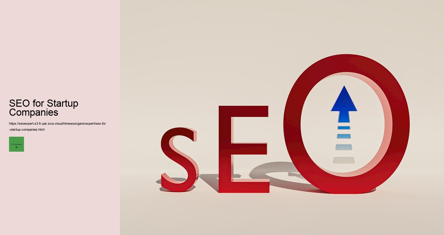 SEO for Startup Companies